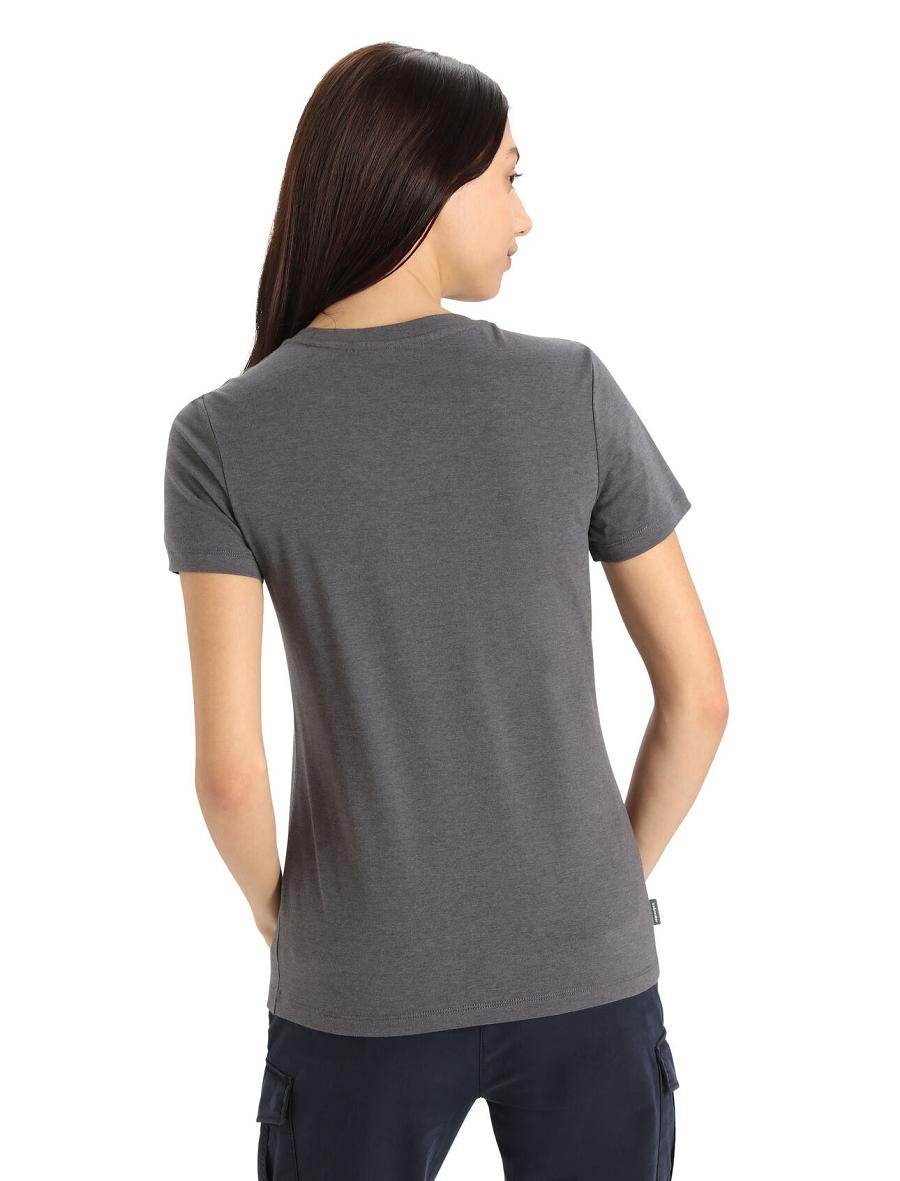 Women's Icebreaker Merino Central Classic Short Sleeve Move to Natural Mountain T Shirts Monsoon | CA 1386ILHS